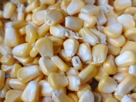 A pile of corn kernels