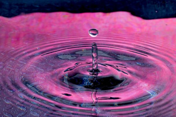 Ripples forming on the surface of water. 